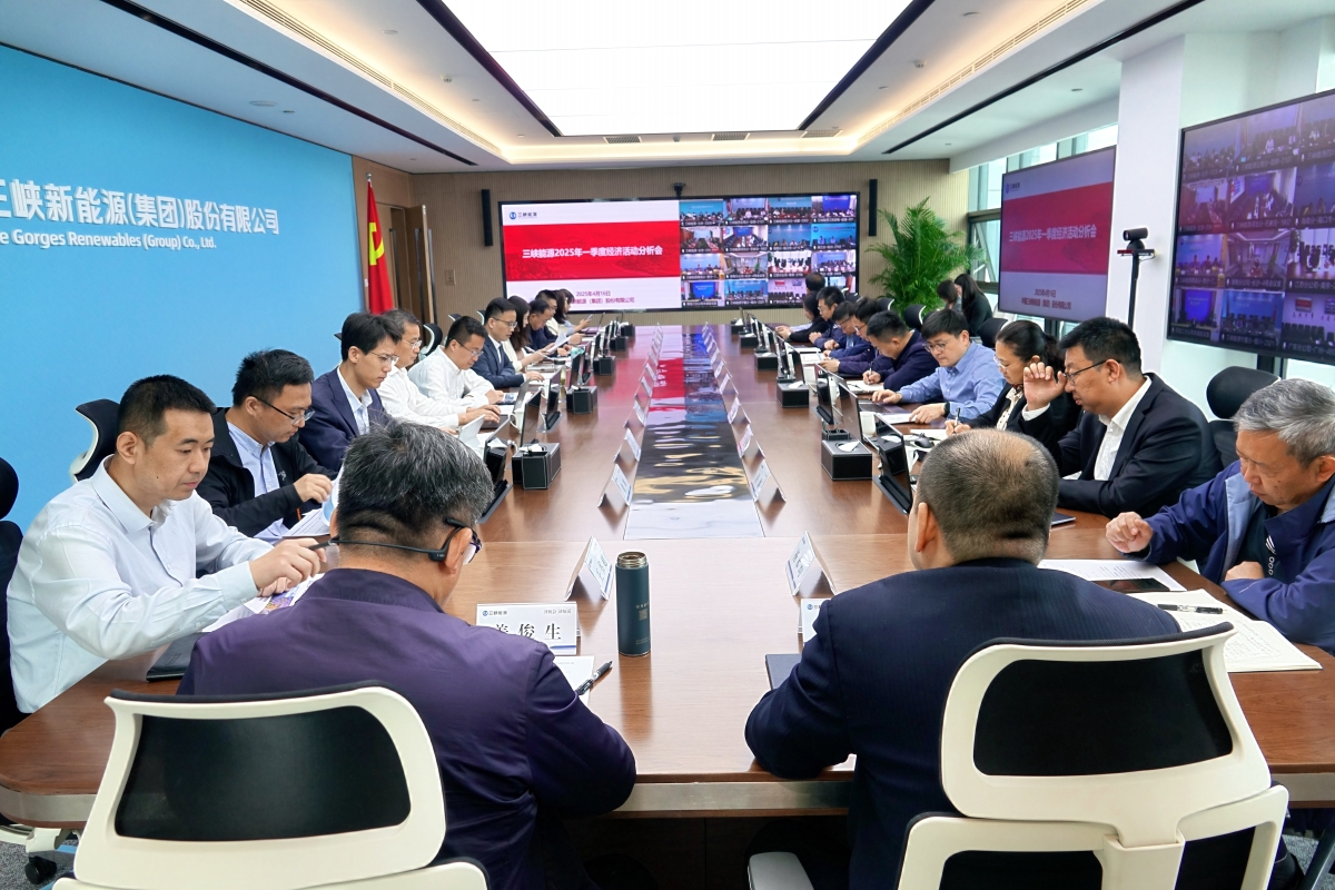 三峽能源召開2025年一季度經濟活動分析會